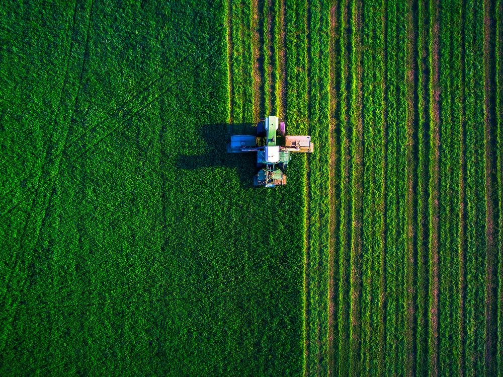 Sustainability